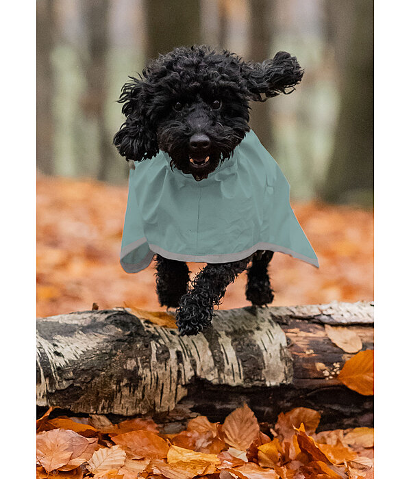 Manteau de pluie pour chien  Thousand Islands, 0 g