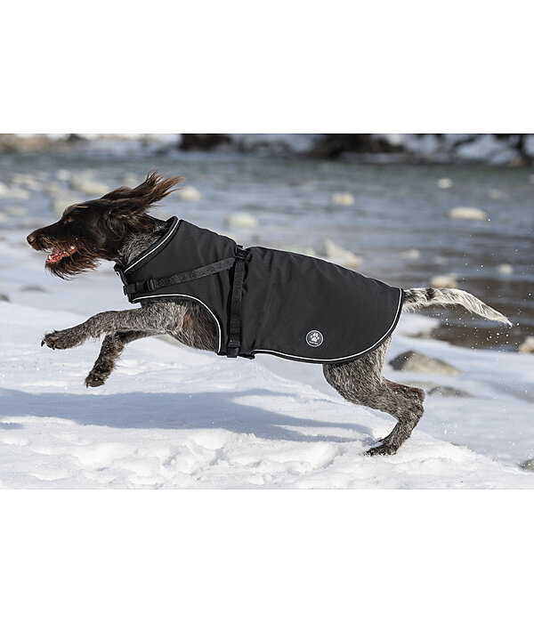 Manteau Softshell pour chien avec harnais intgr  Cruz, 160 g