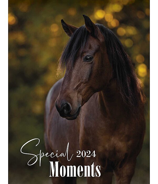 Special Moments Calendrier 2025